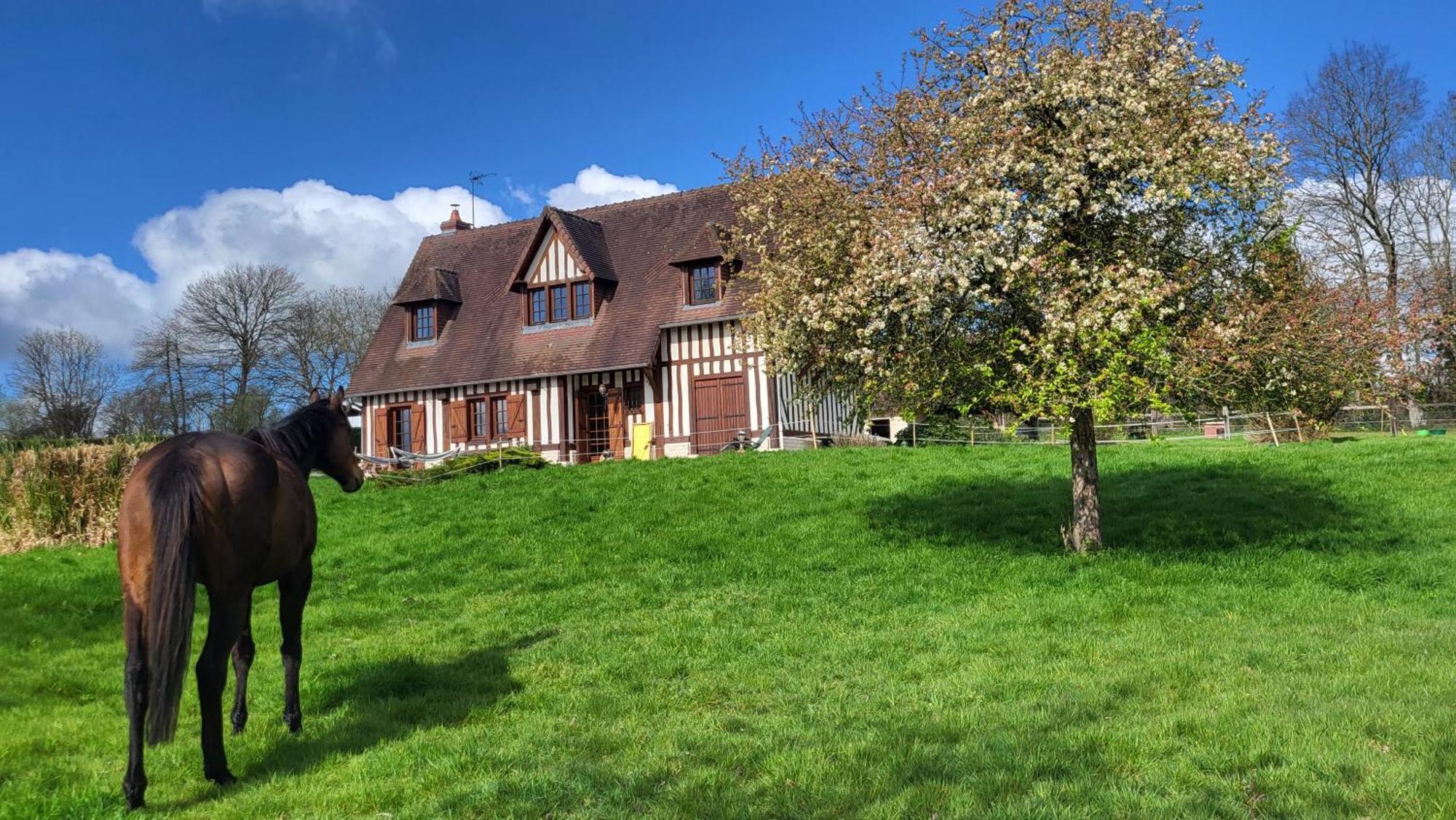 Relais équestre du Miloir - chambres d'hôtes Saint-Desir Exterior foto
